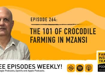 Podcast: The 101 of crocodile farming in Mzansi