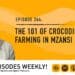 Podcast: The 101 of crocodile farming in Mzansi