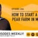 Podcast: How to start a cactus pear farm in Mzansi