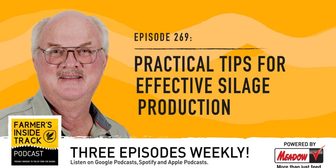 Podcast: The secrets of silage making