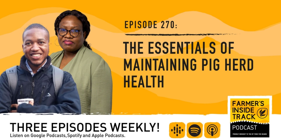 Podcast: Bring home the bacon with prime pig herd health