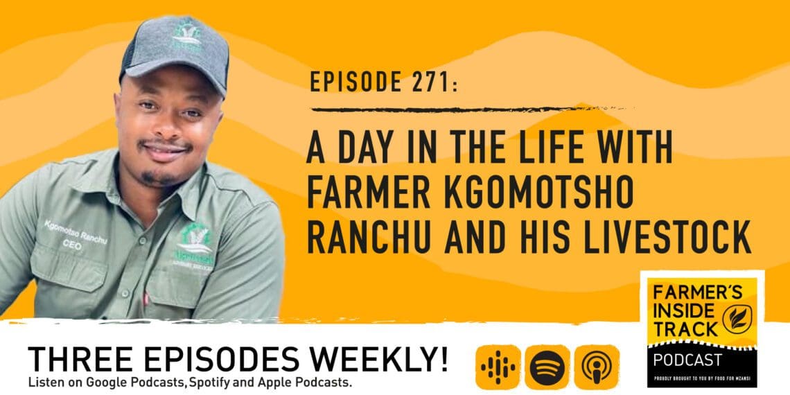 Kgomotsho Ranchu, Free State livestock farmer shares the importance of having a holistic view about agriculture. Photo: Supplied/Food For Mzansi