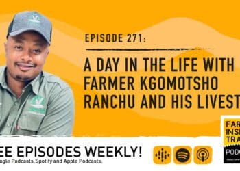 Kgomotsho Ranchu, Free State livestock farmer shares the importance of having a holistic view about agriculture. Photo: Supplied/Food For Mzansi