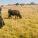 According to the Land Claims Court, ESTA applied to the effect that a person who has continuously and openly resided on land for a year has consent to also use the land. Photo: Sourced/Kimberly Mutandiro
