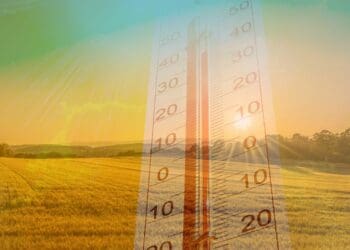 Kushushu! July was the hottest month globally
