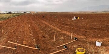 Scammers prey on SA’s restitution land rights program
