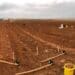 Scammers prey on SA’s restitution land rights program