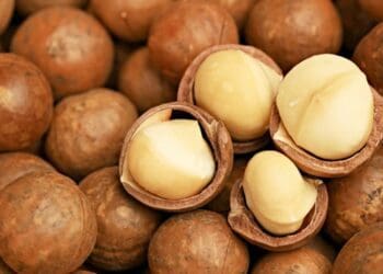 Gather to Grow: Macadamia farming is a tough nut to crack