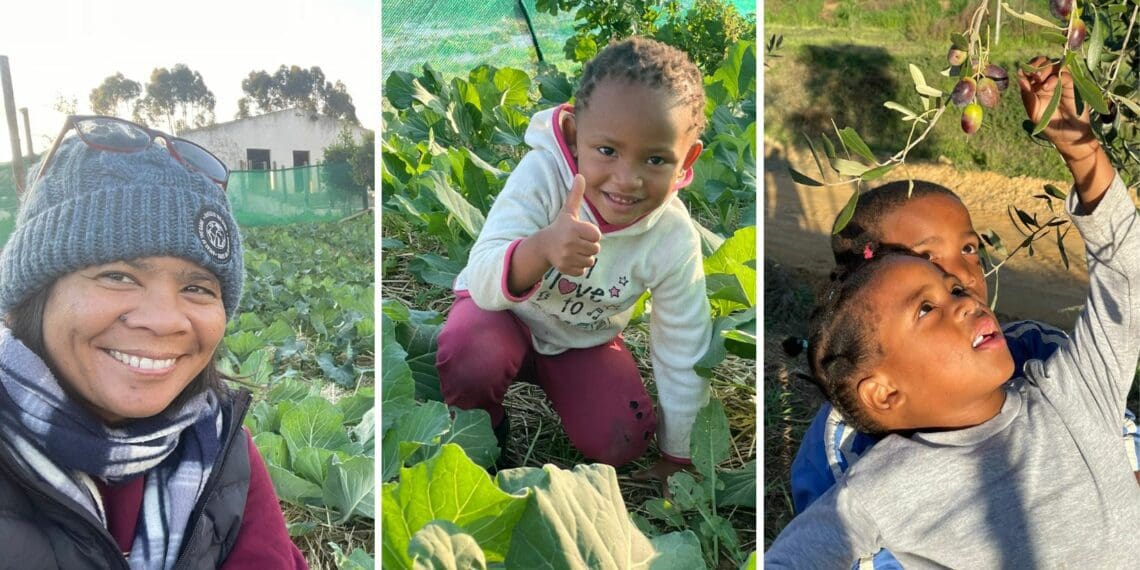 IN PICTURES: Kids have a ball on farms during holidays