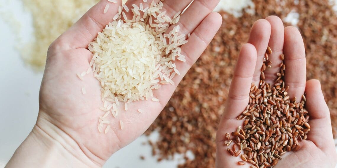 Grain pain: Rice prices set to soar as India bans exports