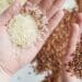 Grain pain: Rice prices set to soar as India bans exports