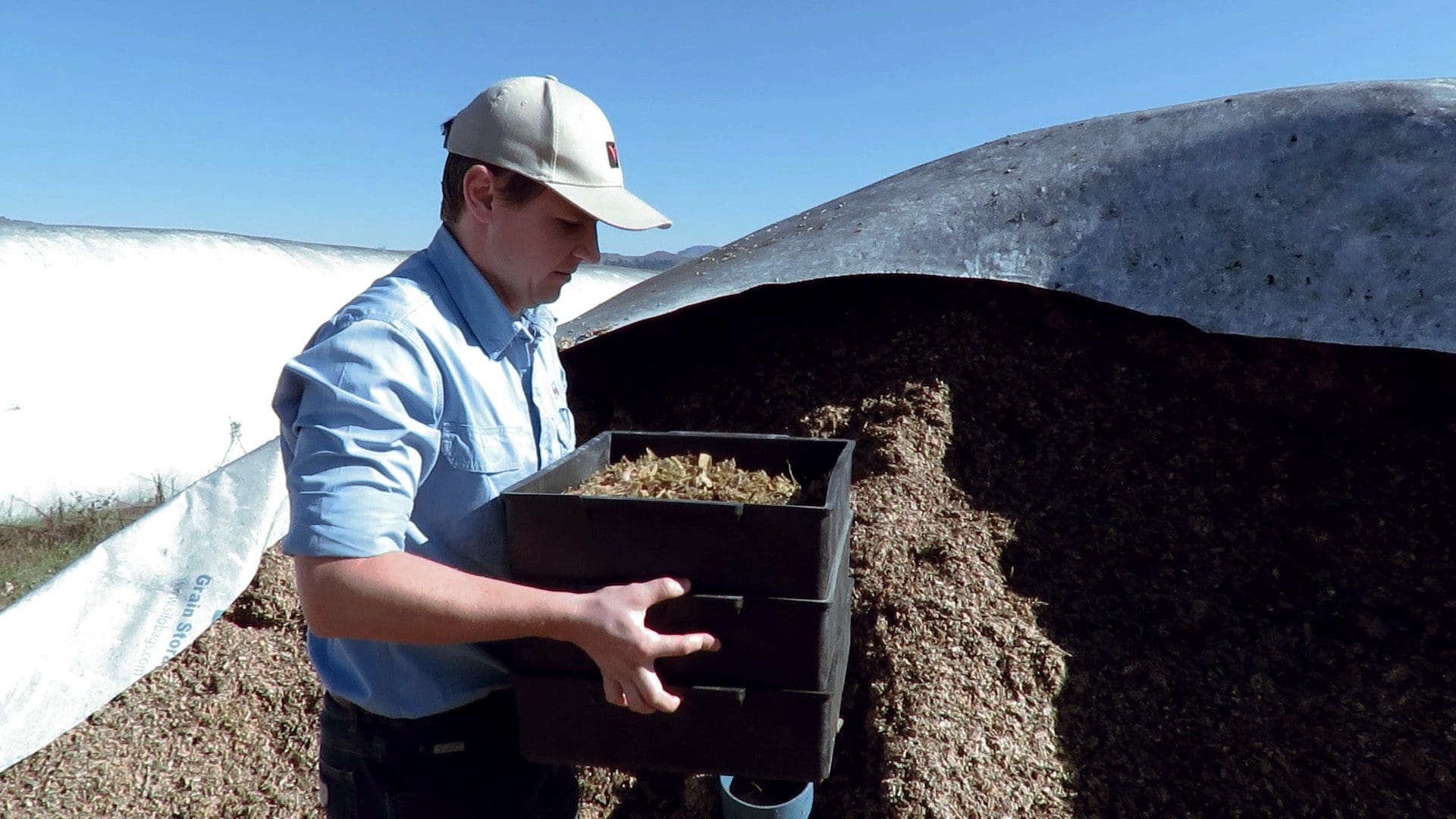 Practical advice to maximise silage-making - Food For Mzansi