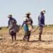 Tobacco Bill: New ciggy law douses Mzansi's flame