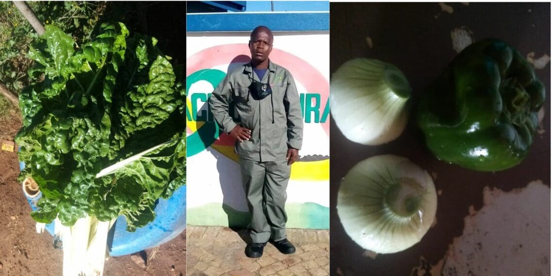 Freak farming accident reignites fire in Moabi's belly