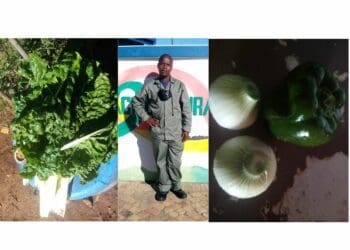 Freak farming accident reignites fire in Moabi's belly