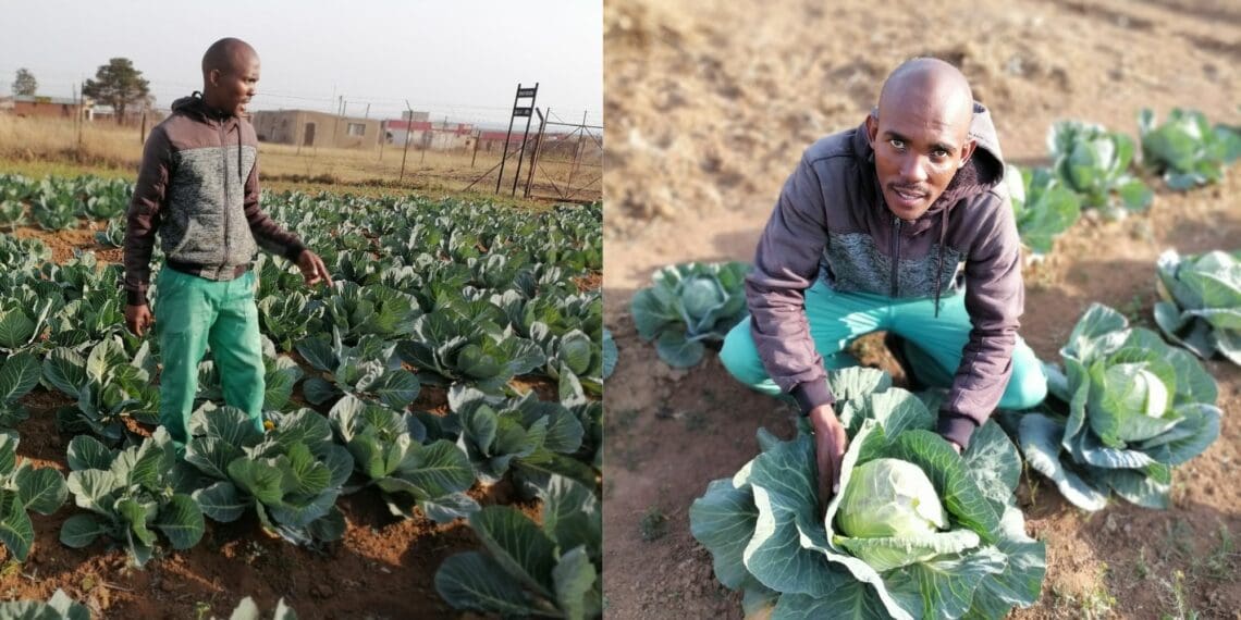 Fearless Kasi farmer Ntseoane goes from zero to hero