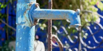 Residents in Gauteng are nearing the end of a week-long water shutdwon. Urban farmers share with Food For Mzansi how they are navigating days without water. Photo: Supplied/Food For Mzansi