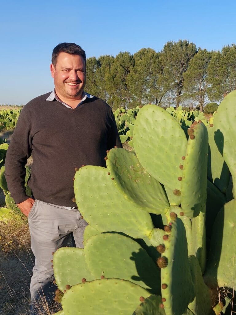 What you need to know about cactus pear farming