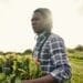 Indlela yokuqalisa ukufuya nezolimo ngamanyathelo ali10 alula