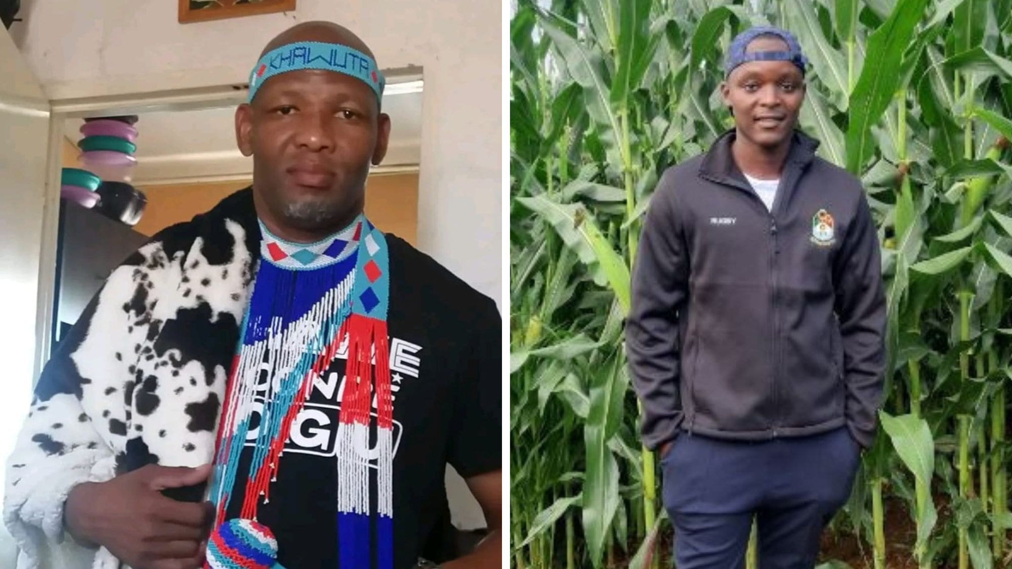 Engaging Bull Secret lingo: The unique bond between herdsmen and bulls - Food For Mzansi