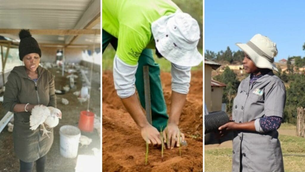 Momentum & Agri Ent: Bridging gaps, empowering women
