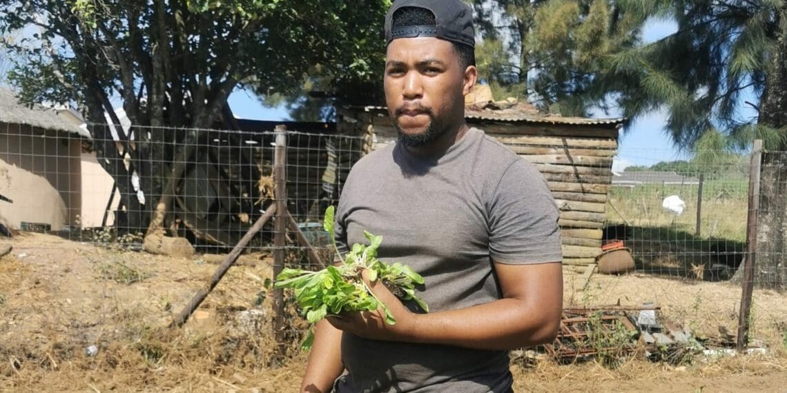 UMnuz Andile Mkhize ungumlimi wamaveji futhi usebenza eToutele Agricultural College KwaZulu-Natali.