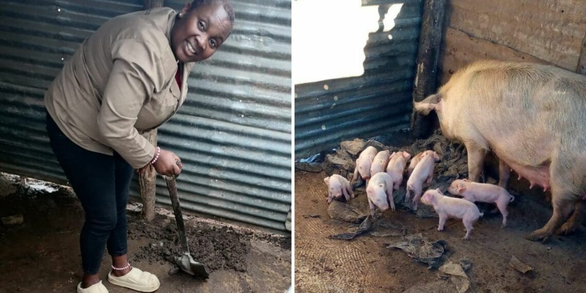 Three little pigs pull ex-prisoner from the depths of despair
