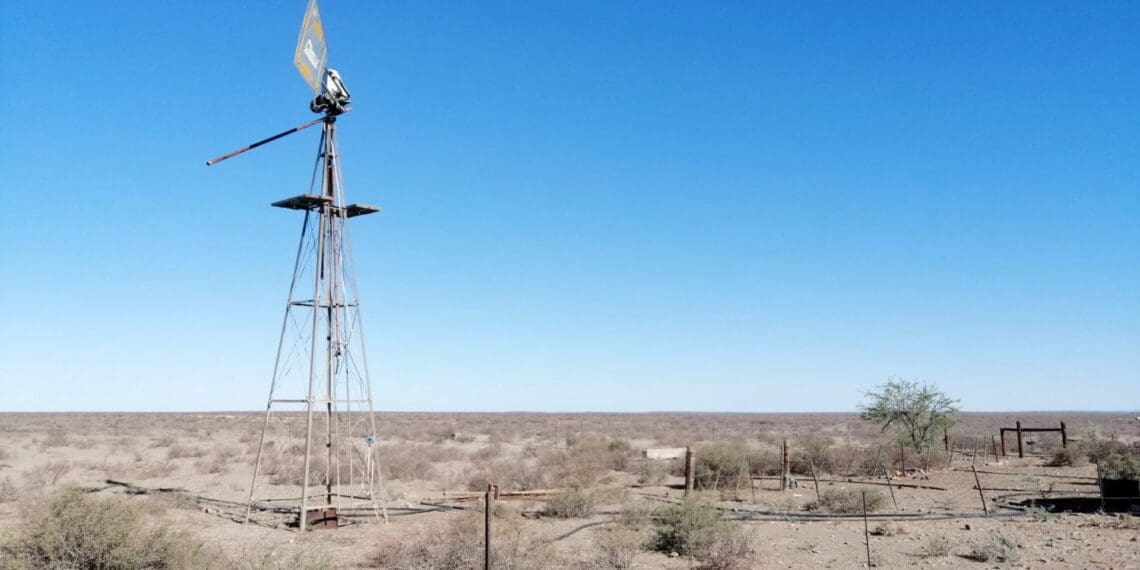 'Our animals are dying, please help' – Namakwa farmers