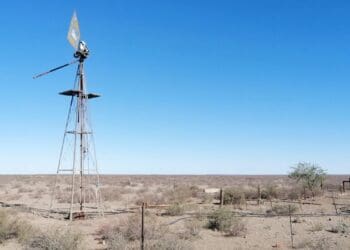 'Our animals are dying, please help' – Namakwa farmers