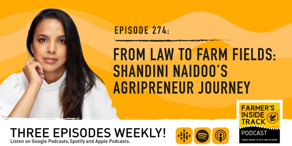 Podcast: Ex-lawyer loves agri beyond reasonable doubt