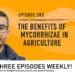 Podcast: How mycorrhizae benefits crop plant roots