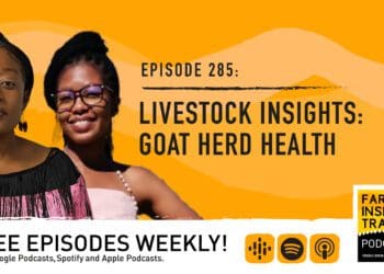 Podcast: How to keep your goat herd in good shape