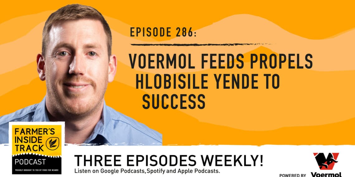 Podcast: Voermol Feeds' Dundee Lick product packs a punch