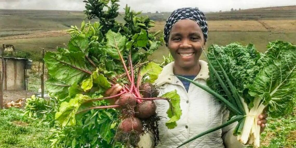Undizela phezulu kwezilimo owase-EC