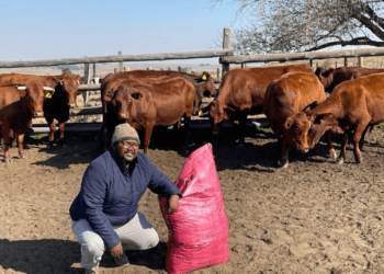 Mokatsane credits Voermol Premix 450 for thriving livestock