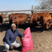 Mokatsane credits Voermol Premix 450 for thriving livestock