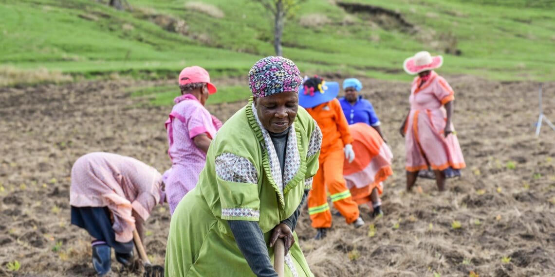 Farmer 101: Leading women reflect on their agri journeys