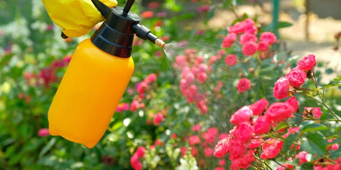 Pesticide use: Tips for safe home and garden pest control