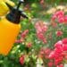 Pesticide use: Tips for safe home and garden pest control