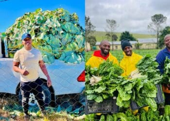 Green fingers and a golden heart enrich Gqoli's harvests