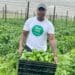 From KwaMashu to Jozi: Mzila’s remarkable farming journey