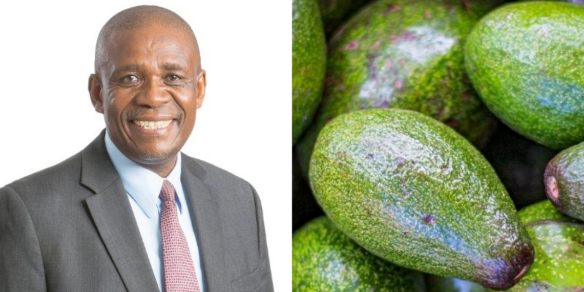 Westfalia Fruit newly appointed board chairperson Dr Khotso Mokhele believes in long term projects as a solution to increase sustainability and create jobs in a tight economic climate. Photo:Supplied/Food For Mzansi.