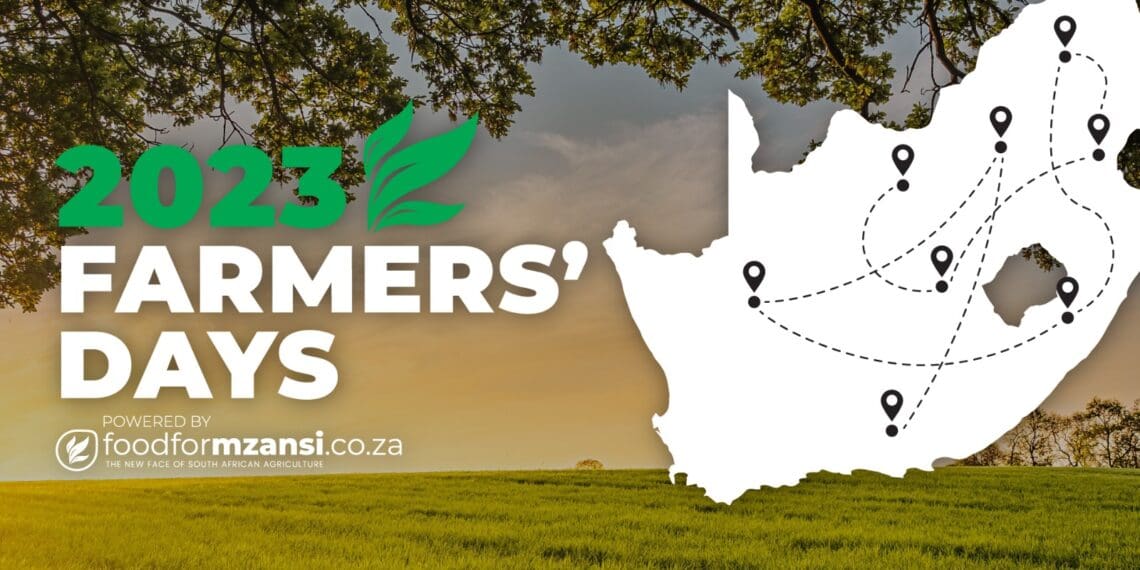 Food For Mzansi’s nine provincial farmers’ days promises to offer valuable insights, foster innovative dialogues, and pave the way for collaborative initiatives that will shape the future of the agricultural sector. Image: Gareth Davies/Food For Mzansi