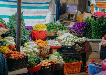 Food security: Russia-Africa Summit misses the boat