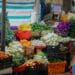 Food security: Russia-Africa Summit misses the boat