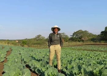 Agri ace Sabelo builds a bridge and gets over it