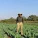 Agri ace Sabelo builds a bridge and gets over it
