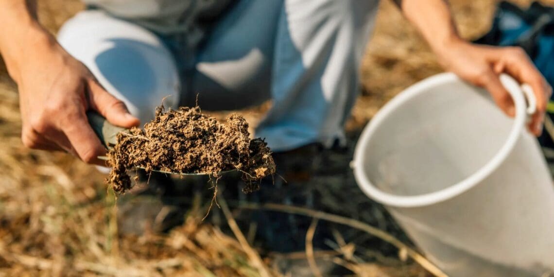 Soil degradation: Conservation agri holds the key