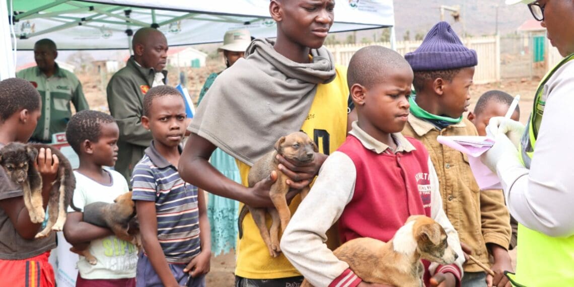Rabies: Vaccinate your pets before its too late – KZN govt