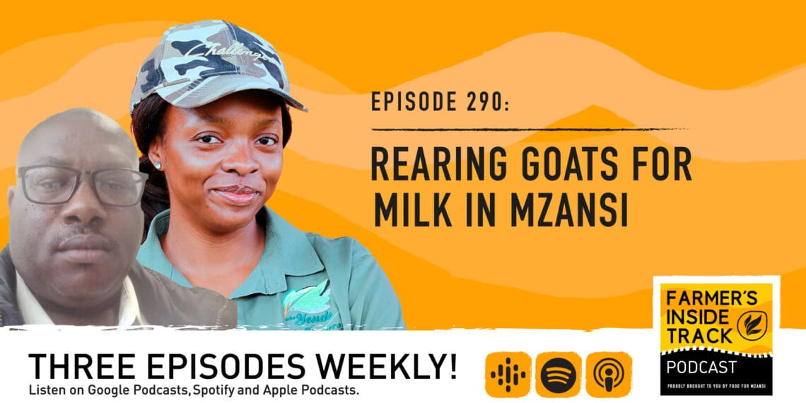 Podcast: Rearing goats for milk in Mzansi (with love)